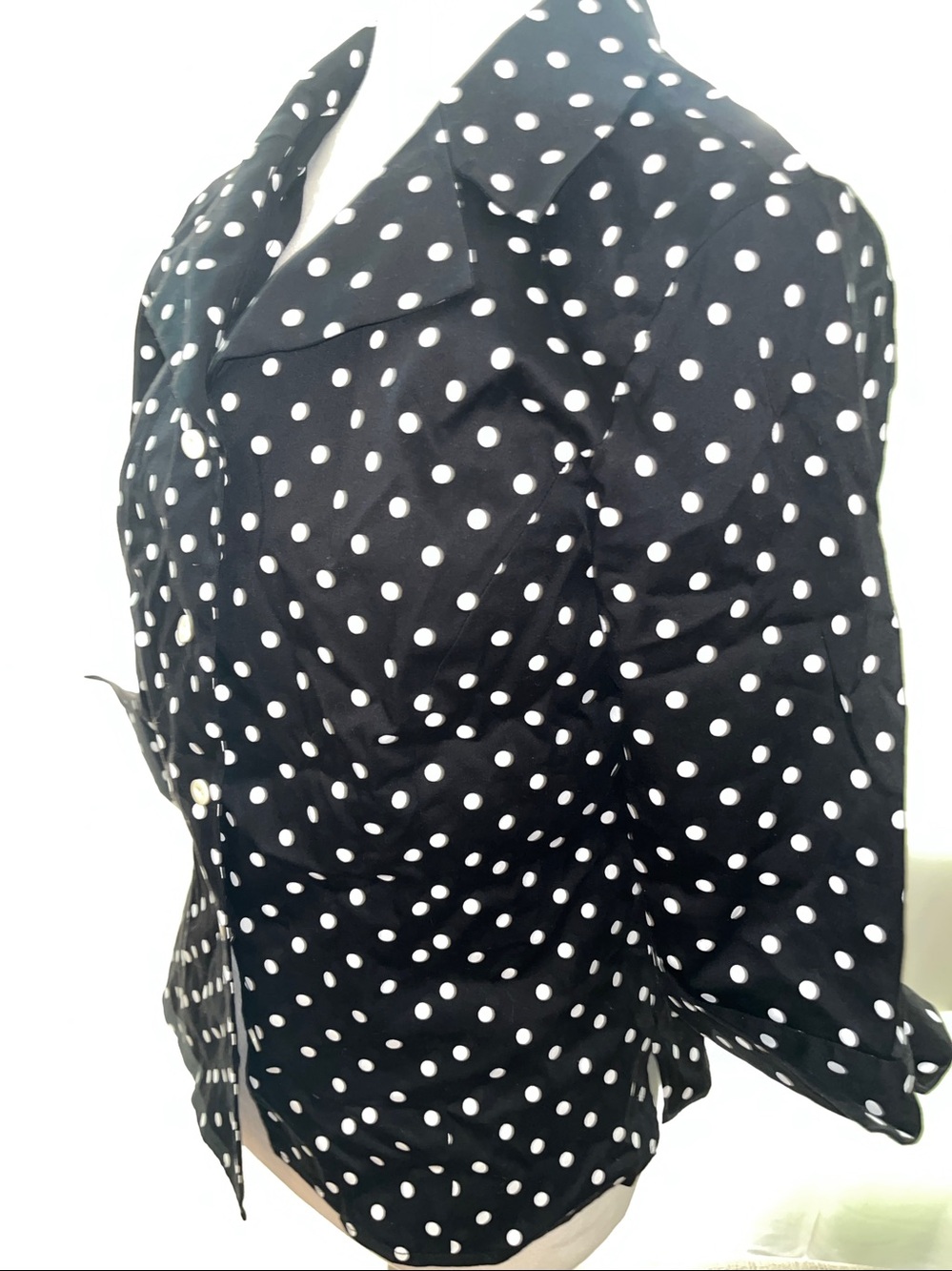 Pendelton Black Polka Dot Button-Up Blouse